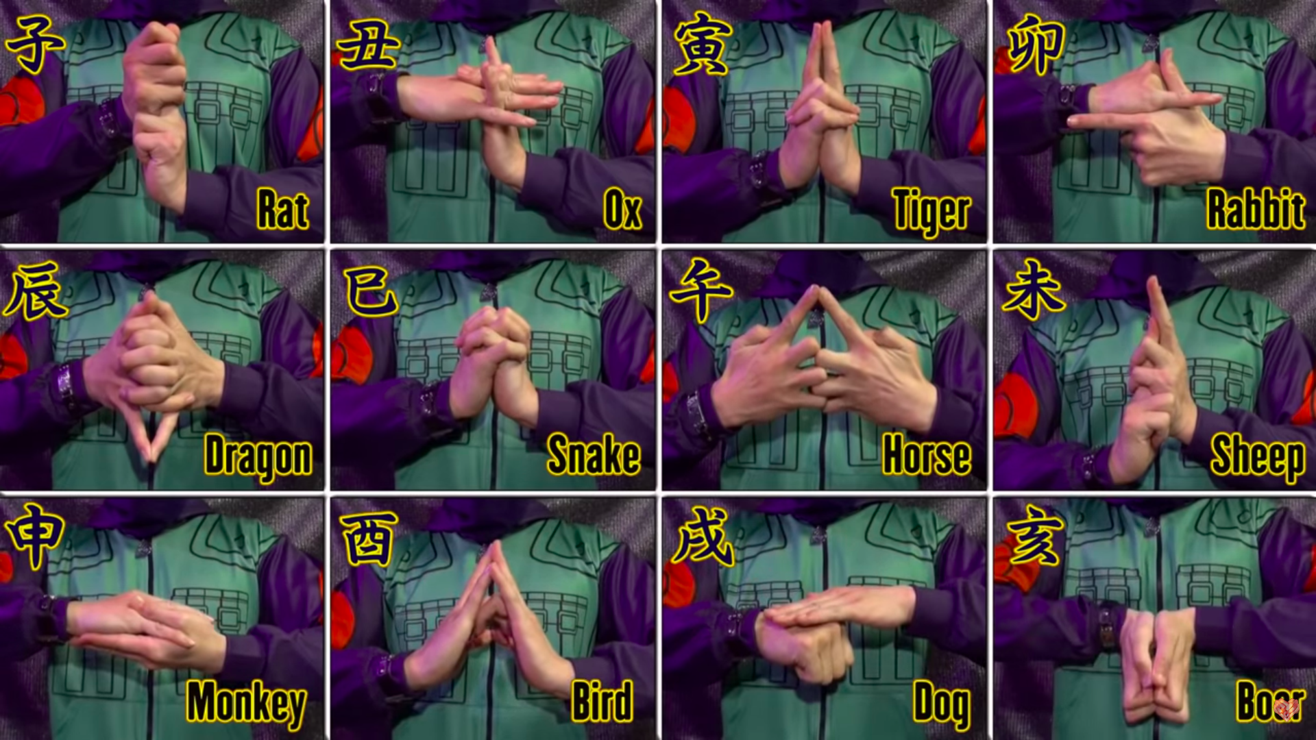 12 Hand Seals